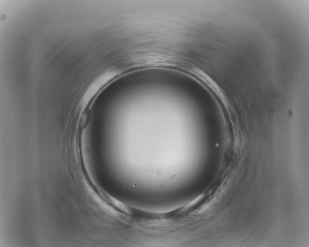 X0000070851293200606191239