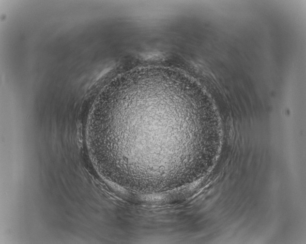 X0000070851301200606191238