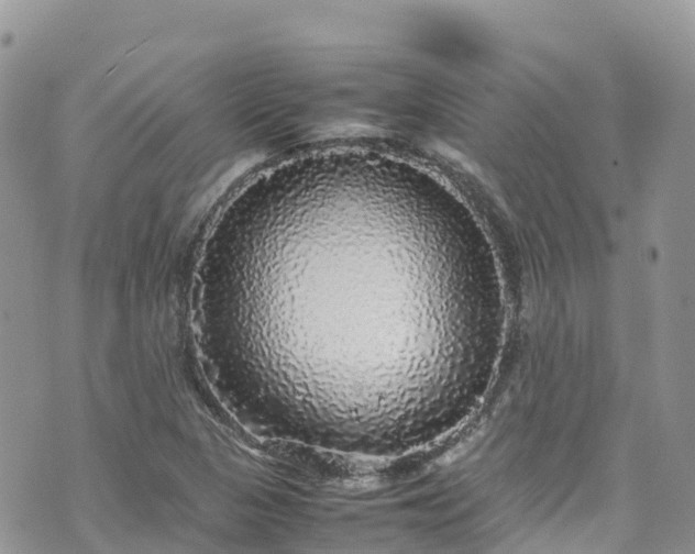 X0000070851313200606191238
