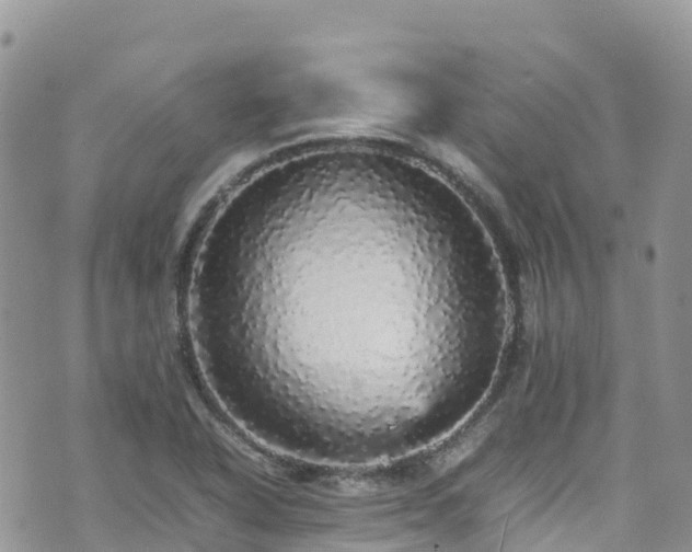 X0000070851318200606191238