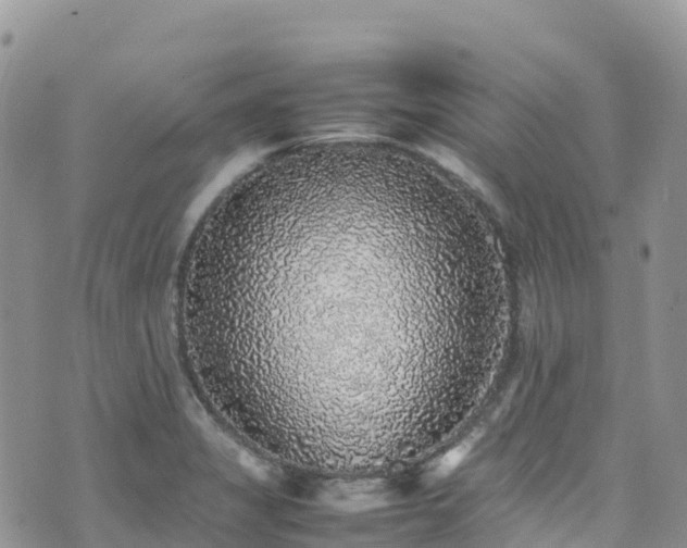 X0000070851325200606191238
