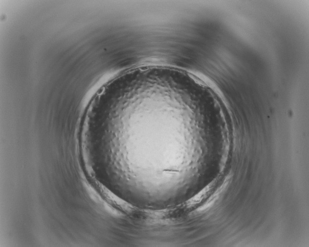 X0000070851341200606191239