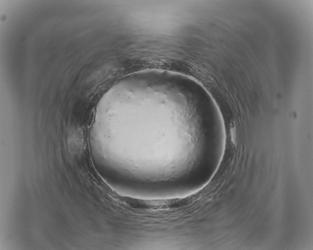 X0000070851347200606191238
