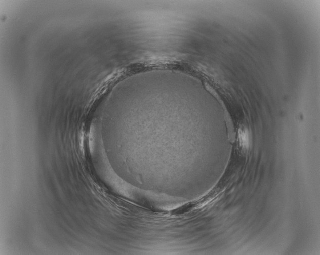 X0000070851348200606191238