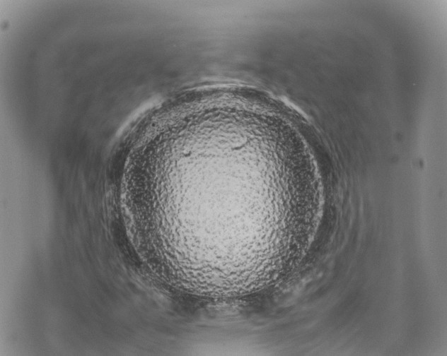 X0000070851351200606191238