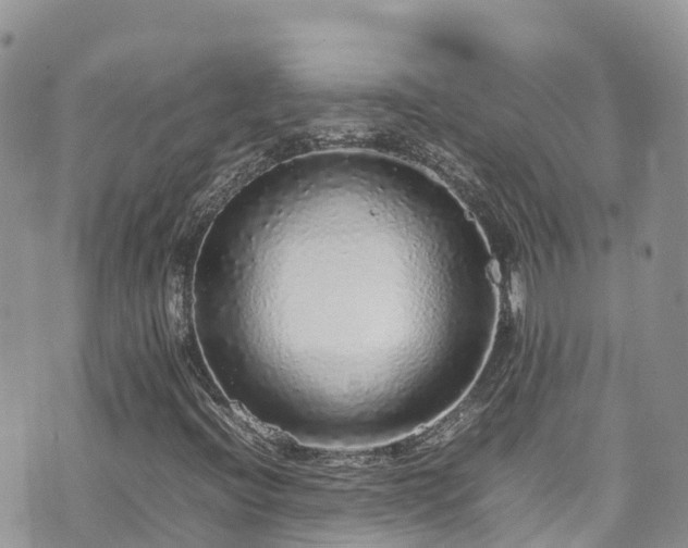 X0000070851396200606191237