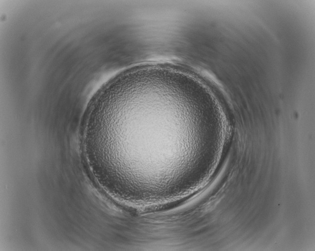 X0000070851412200606191237