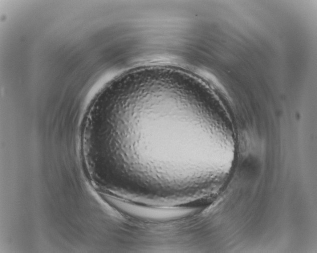 X0000070851424200606191237