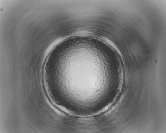 X0000070851437200606191237