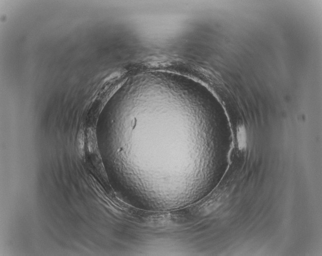 X0000070851444200606191236