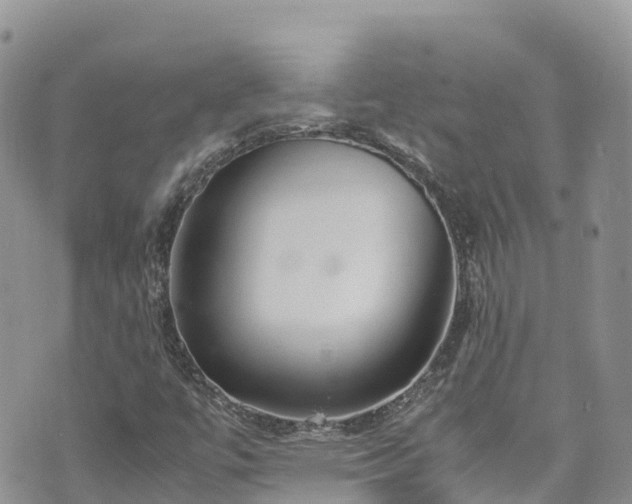 X0000070851447200606191236