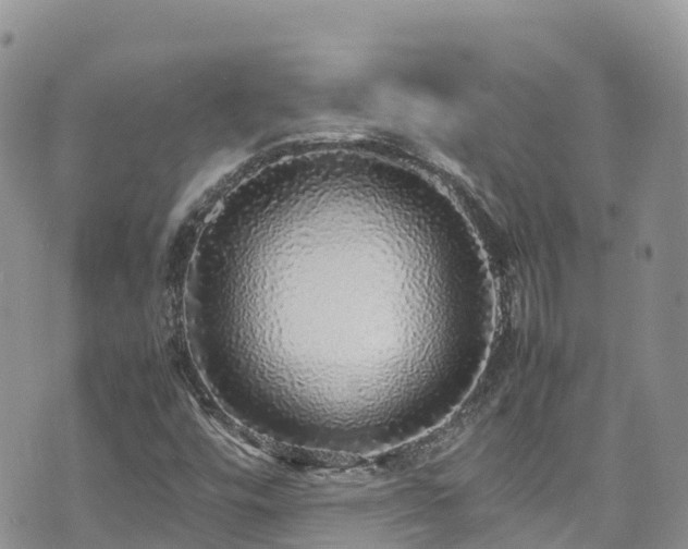 X0000070851448200606191236