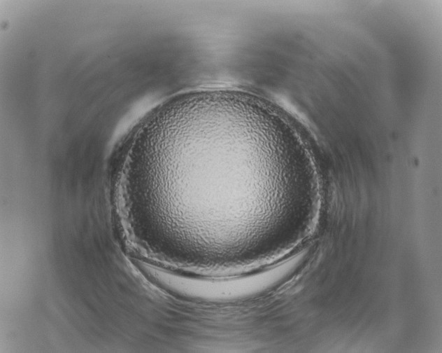 X0000070851456200606191236