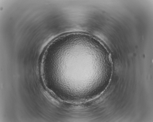 X0000070851460200606191236