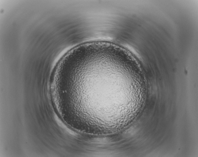 X0000070851468200606191236