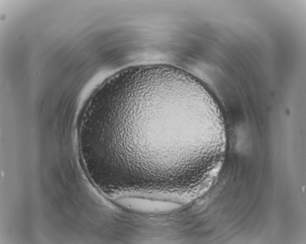 X0000070851472200606191236