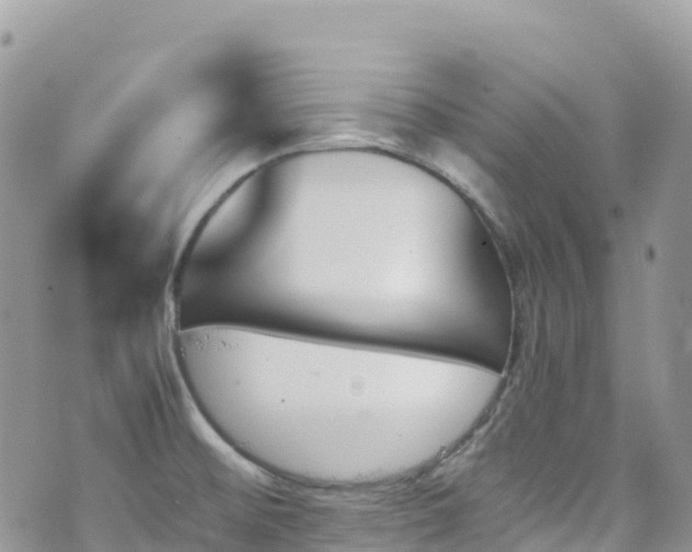 X0000070851476200606191236