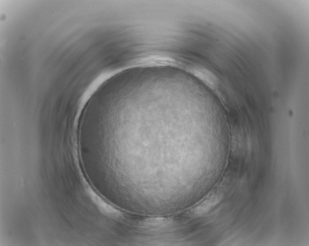 X0000070851478200606191236