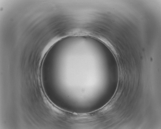 X0000070851486200606191236