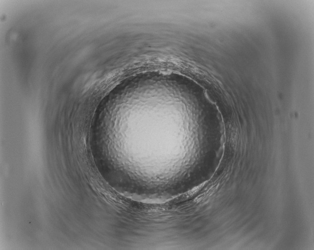 X0000070851489200606191235