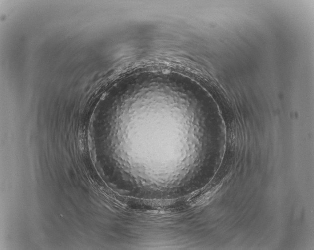 X0000070851490200606191235