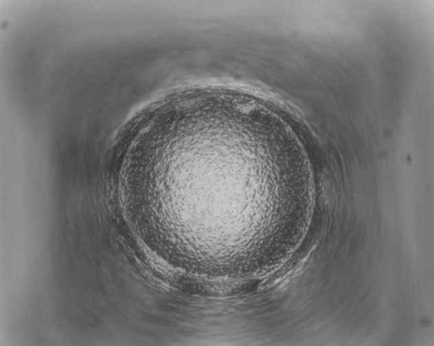 X0000070851494200606191235