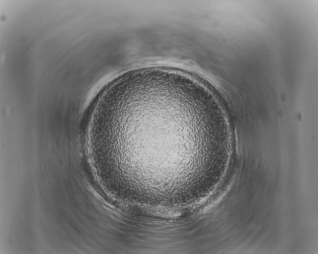 X0000070851501200606191235