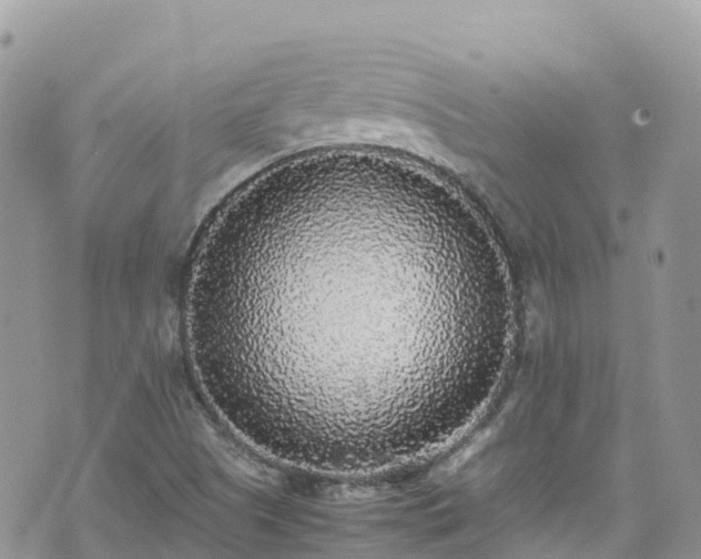 X0000070851505200606191235