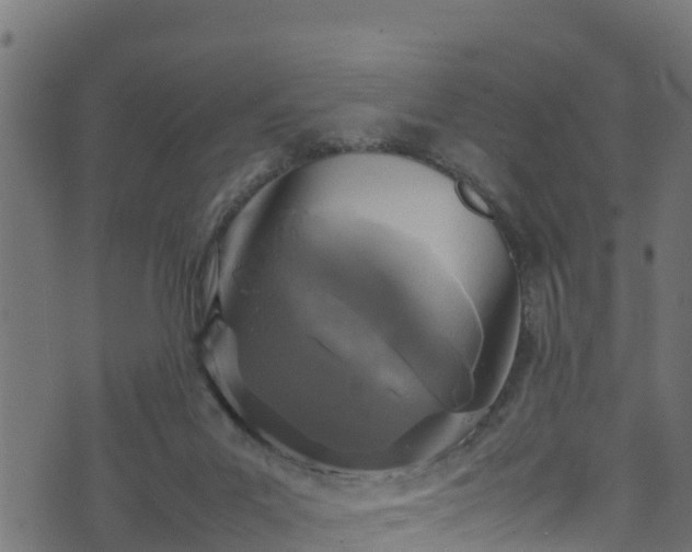 X0000070850023200606231049