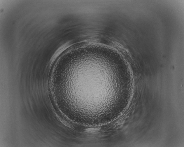 X0000070850051200606231048