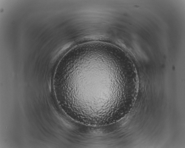 X0000070850062200606231049