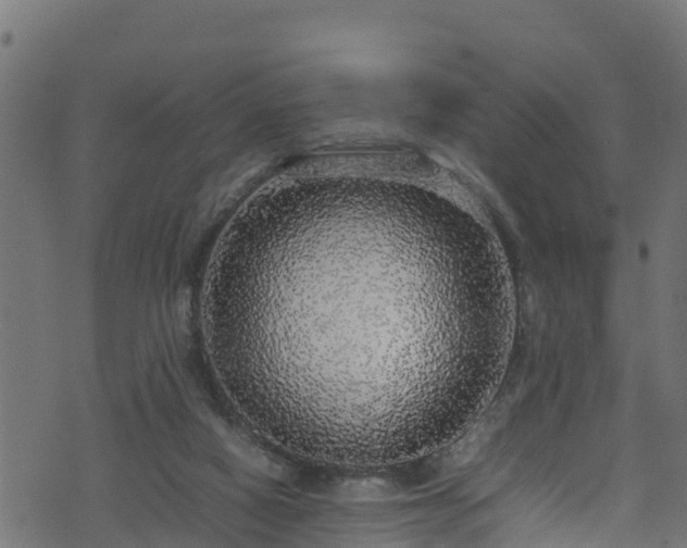 X0000070850066200606231049