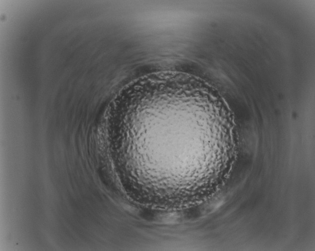 X0000070850131200606231048