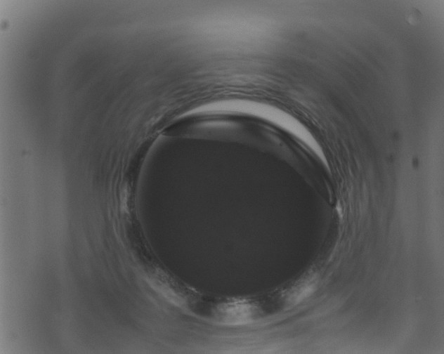 X0000070850219200606231046
