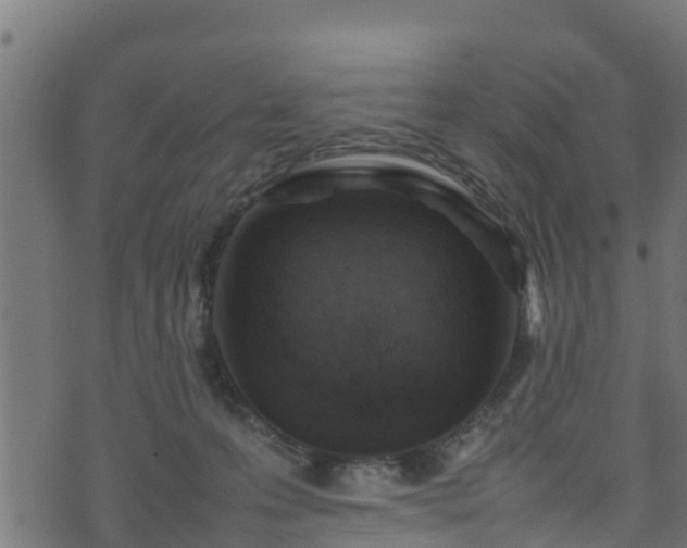 X0000070850223200606231046