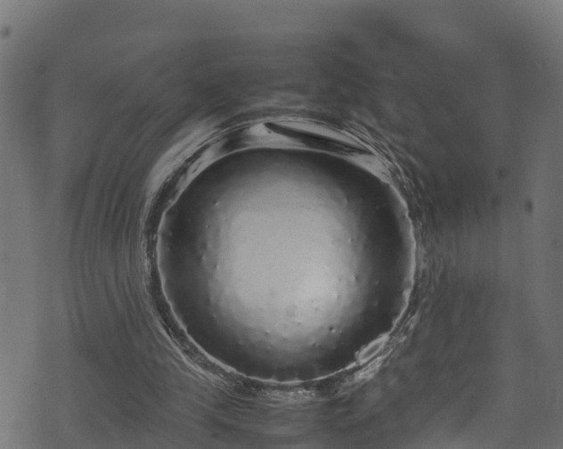 X0000070850245200606231045