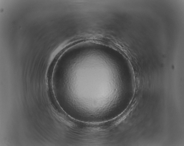 X0000070850246200606231045