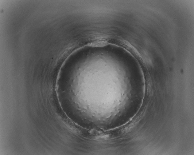 X0000070850257200606231045