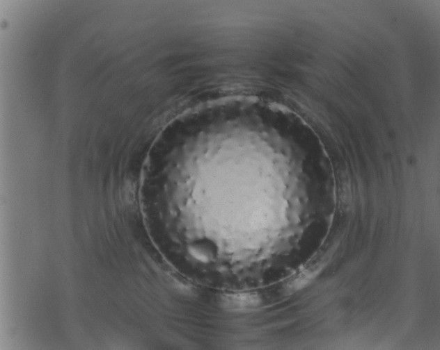 X0000070850281200606231046