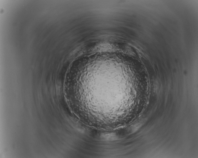 X0000070850283200606231046
