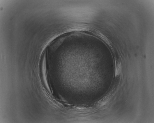 X0000070850387200606231044
