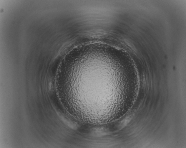 X0000070850408200606231043