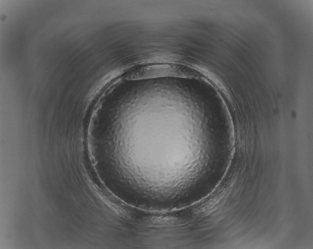 X0000070850437200606231042