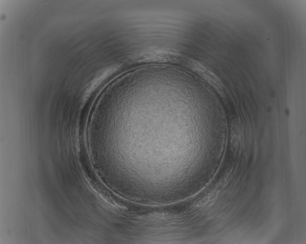 X0000070850578200606231040
