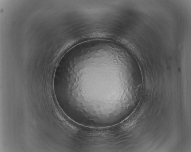 X0000070850625200606231039