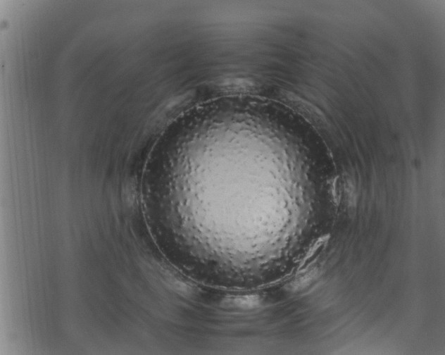 X0000070850665200606231040