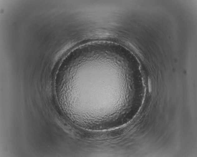 X0000070850675200606231039