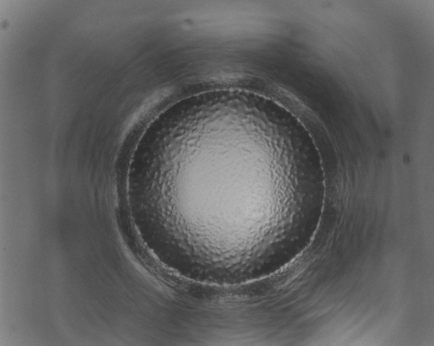 X0000070850734200606231038