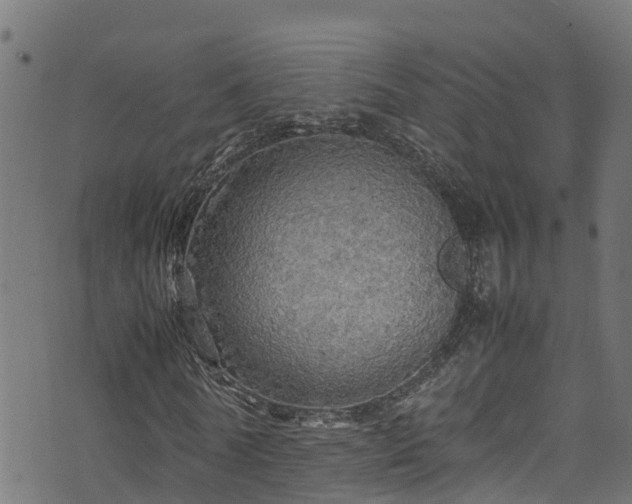 X0000070850770200606231037