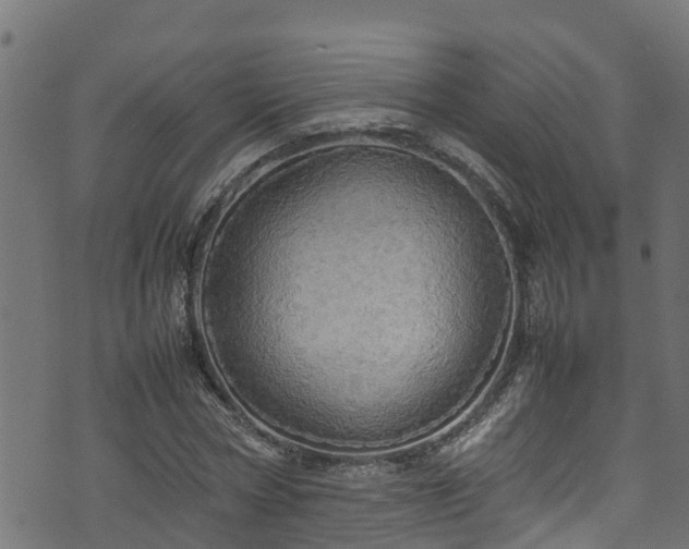 X0000070850778200606231037